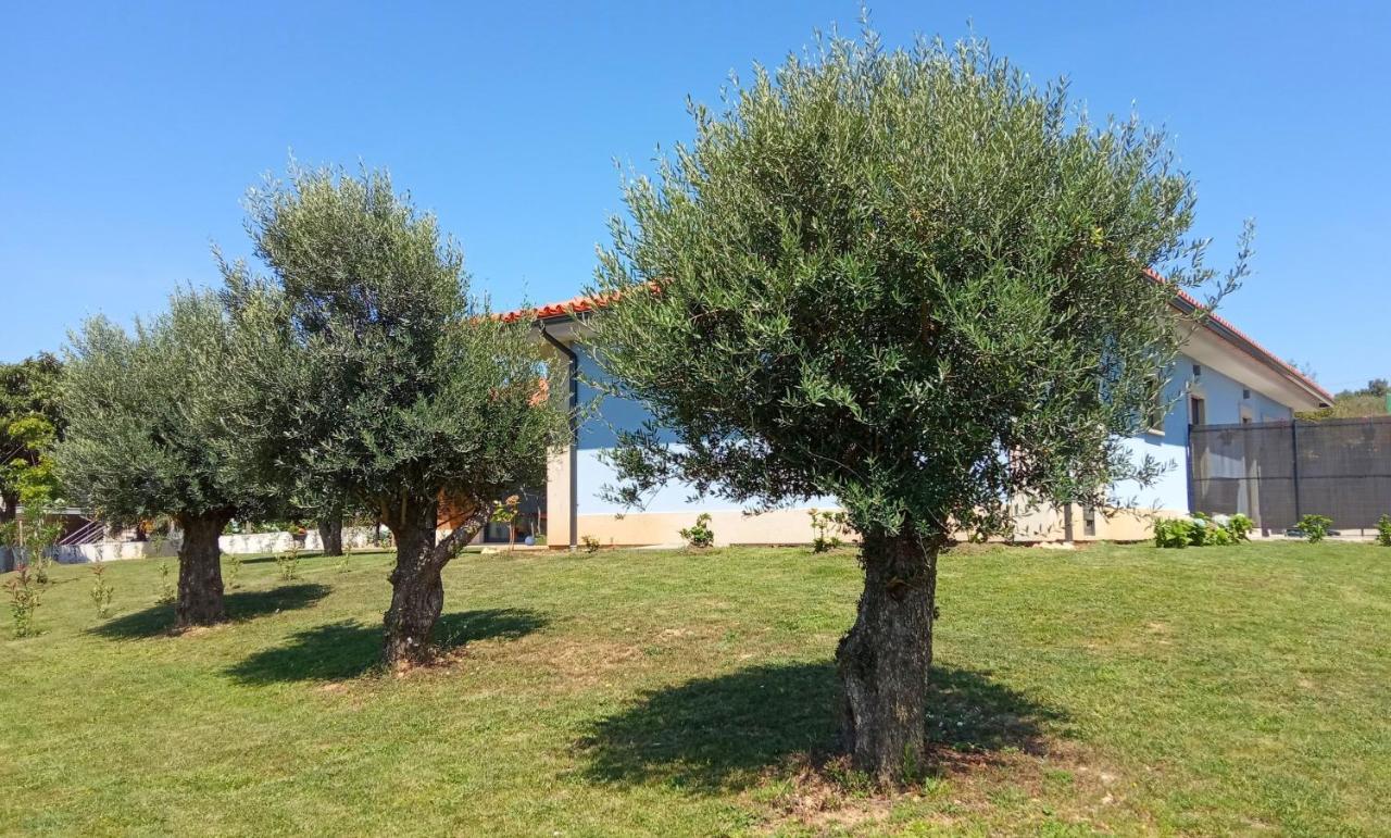 Jardim Das Oliveiras - Suites Com Vista Ponte de Lima Luaran gambar